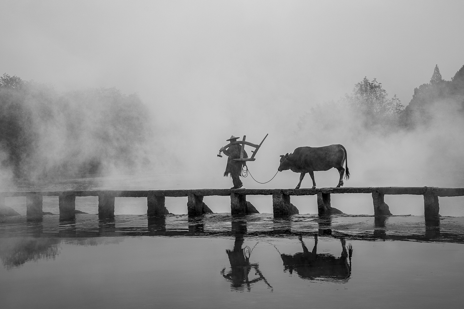 Pao Ling Wu (Taiwan) Go To Work